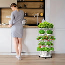 Jardim Vertical Home Garden®️ - InnovaHogar